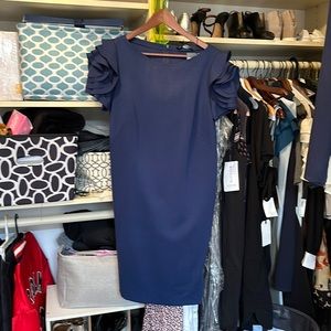 Gorgeous Maternity Fancy Dress